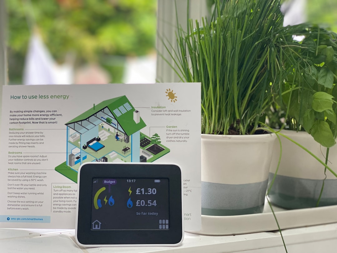 Energy Monitors: Do They Actually Help You Save Money?