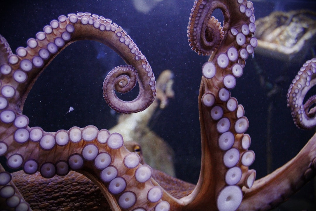 Octopus Agile Explained: Is It Worth Switching in 2024?